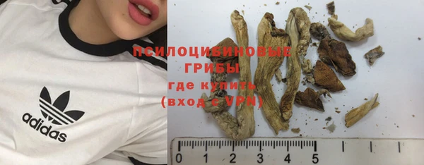 дмт Волоколамск