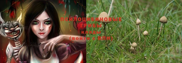 дурь Володарск