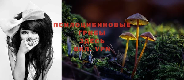 дмт Волоколамск