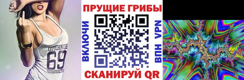 Псилоцибиновые грибы Magic Shrooms  закладка  Камень-на-Оби 